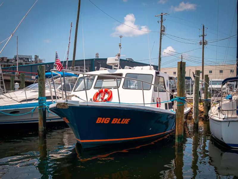 The Image of 2019 Newton 36' Dive Special, blue, docked in a marina. - 0