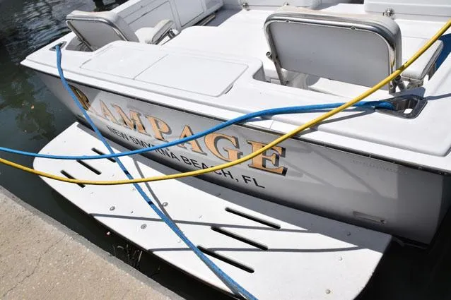 Slide: The Image of Swim ladder is beneath platform - 37