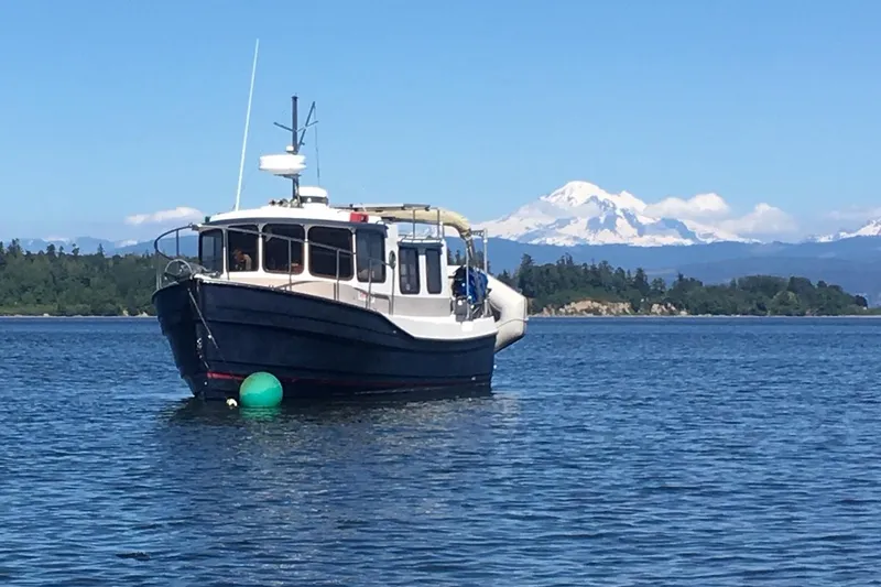 The Image of 2008 Ranger 2510 Bay Ranger boat on calm water with scenic mountain backdrop. - 0