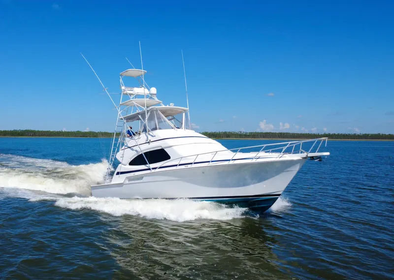 The Image of Bertram 450 CV 2005 - 0