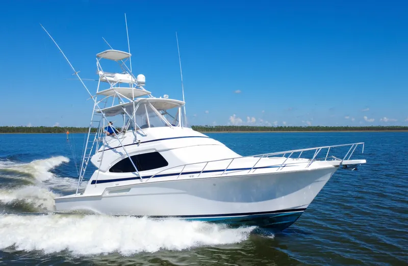 The Image of Bertram 450 CV 2005 - 1