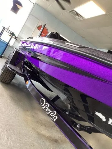 Slide: The Image of Bass Cat Eyra SP 2026 - 12