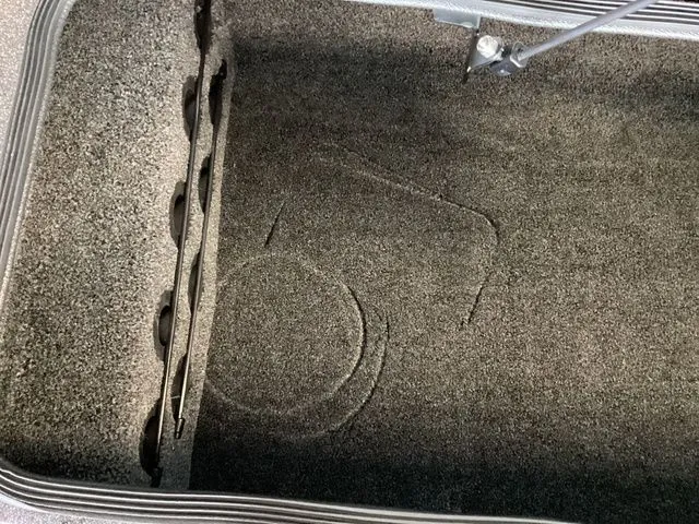 Slide: The Image of Bass Cat Eyra SP 2026 - 69