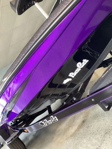 Slide: The Image of Bass Cat Eyra SP 2026 - 14