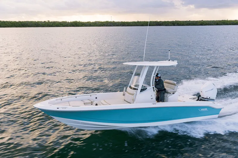 Slide: The Image of A 2027 Boston Whaler 250 Dauntless cruising on calm water. It features a blue hull design. - 37