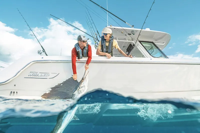 Slide: The Image of Two people on a Boston Whaler 330 Outrage hold a large fish beside the boat. - 33