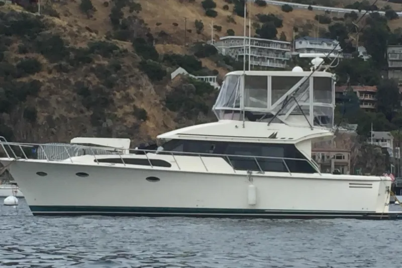 The Image of 1998 Mikelson 43 Sportfisher yacht anchored near a scenic hillside. - 0