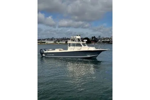 The Image of 2023 Defiance Guadalupe 290 EX boat on calm water under cloudy sky. - 0
