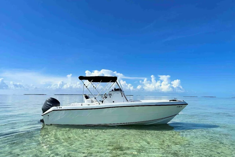 The Image of 2003 PRO SPORT 2200 Blue Water boat on clear, calm ocean under blue sky. - 1