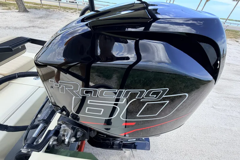 Slide: The Image of 2025 Hell's Bay Professional boat with a Racing 60 outboard motor on sandy beach. - 72
