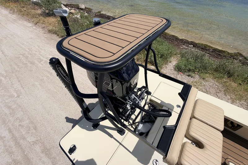 Slide: The Image of 2025 Hell's Bay Professional boat with motor, docked by a sandy shore. - 68
