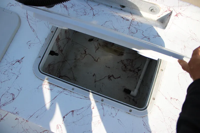 Slide: The Image of Open hatch on 2022 Shoalwater 20' Catamaran, revealing interior compartment. - 13
