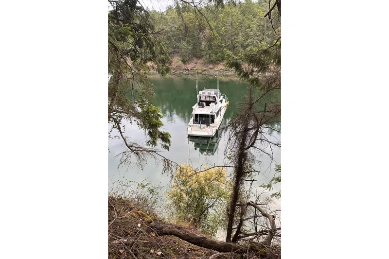 Slide: The Image of Boat anchored in a serene forested lake, Symbol 50 Pilothouse, 2000 model. - 30