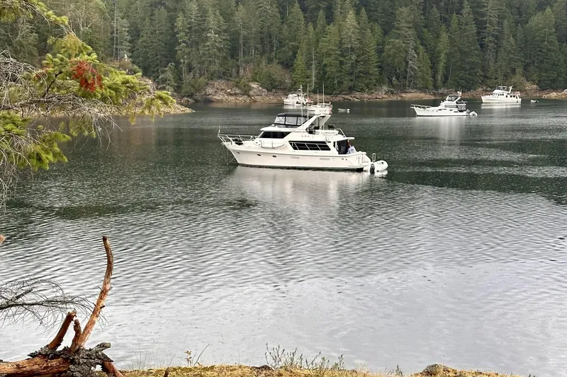Slide: The Image of Boats anchored in a serene forested lake, featuring a 2000 Symbol 50 Pilothouse. - 34
