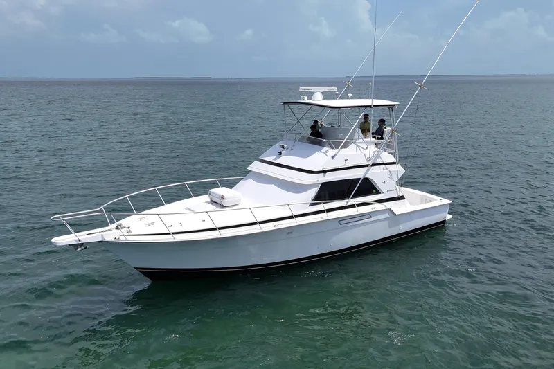 Slide: The Image of 1989 Bertram 43 Convertible yacht cruising on open water. - 13