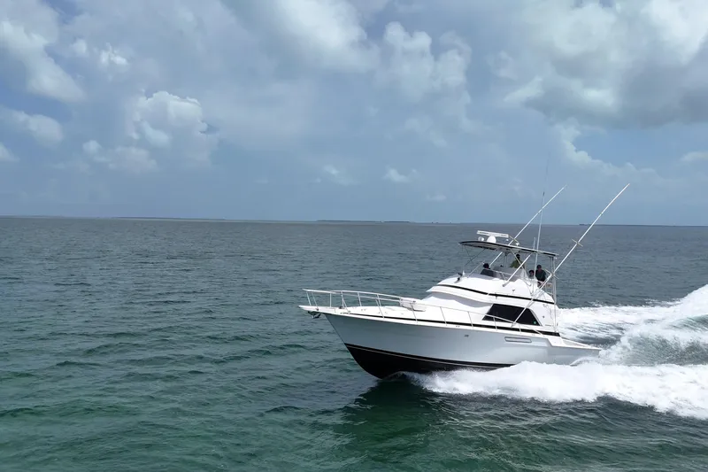 The Image of 1989 Bertram 43 Convertible yacht cruising on open ocean under cloudy sky. - 1