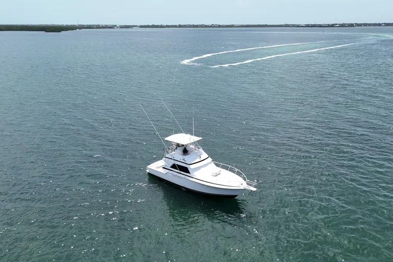 Slide: The Image of 1989 Bertram 43 Convertible yacht cruising on open water. - 18
