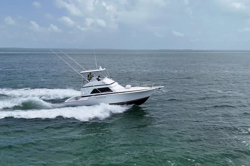 Slide: The Image of 1989 Bertram 43 Convertible yacht cruising on open sea under cloudy sky. - 0