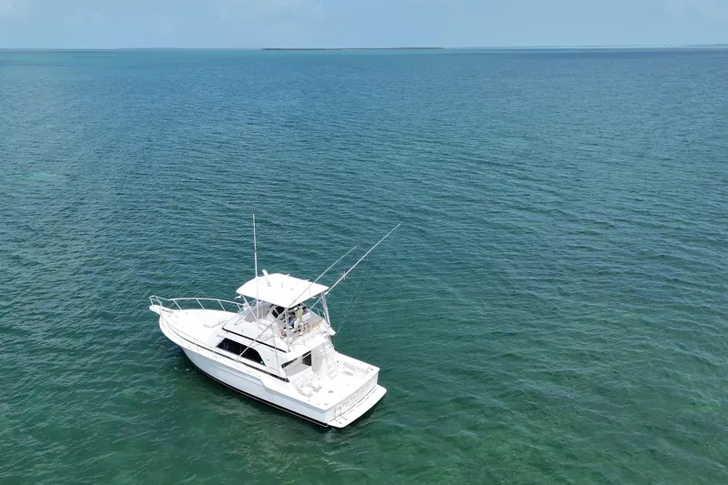 Slide: The Image of 1989 Bertram 43 Convertible yacht on calm ocean waters. - 19