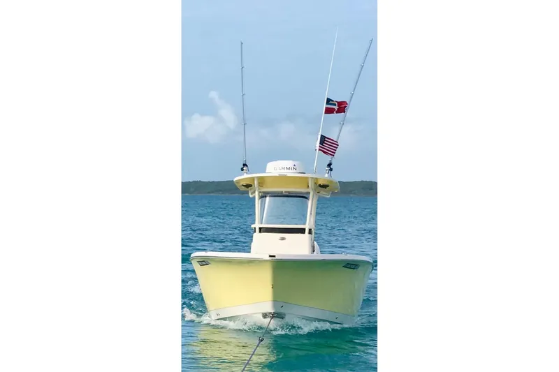 The Image of 2018 Sea Chaser 27 HFC CC boat on water, featuring dual flags and fishing rods. - 0