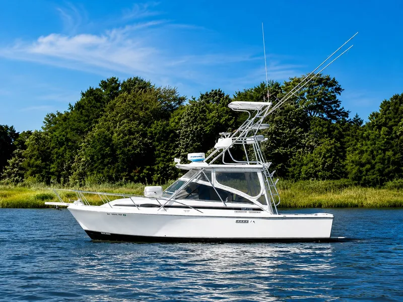 The Image of Blackfin 29 Combi 1997 - 0