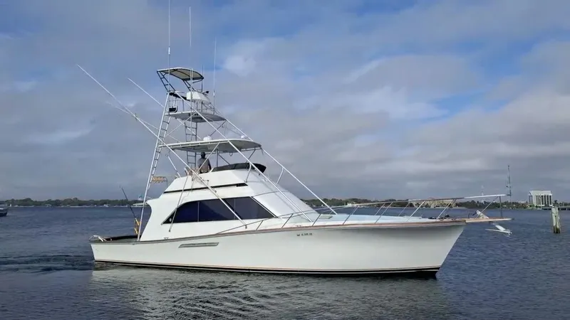 Slide: The Image of A white yacht with multiple decks cruises on calm water under a cloudy sky. - 4