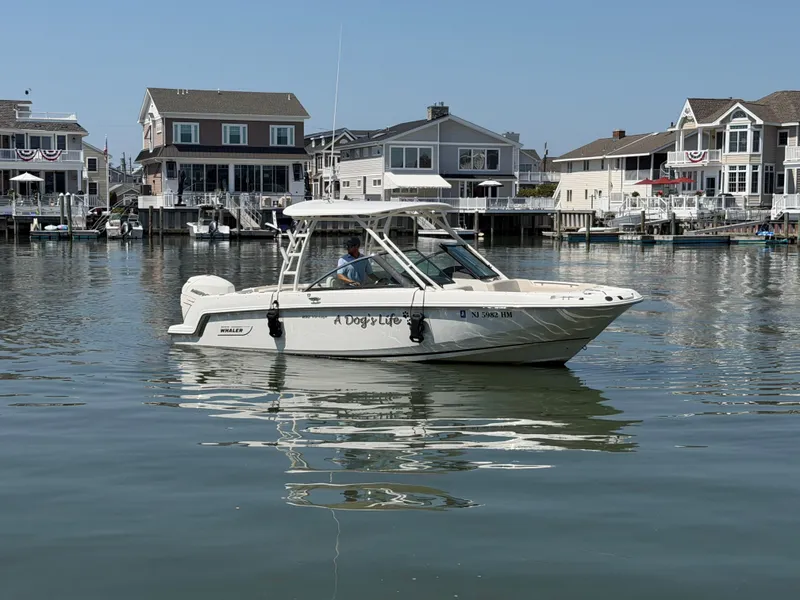 Slide: The Image of A 2018 Boston Whaler 230 Vantage on calm water, with houses in the background. - 31