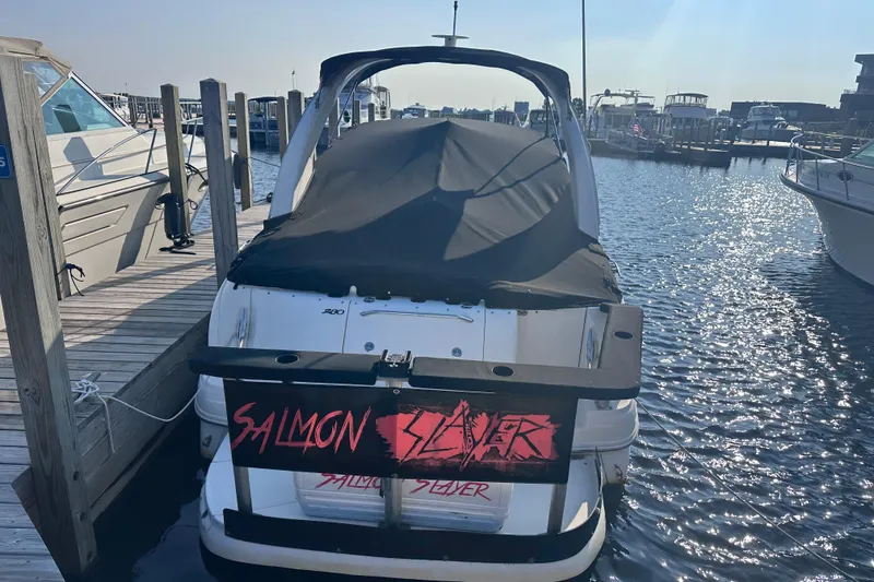 Slide: The Image of 2003 Sea Ray Sundancer 280 docked, featuring "Salmon Slayer" sign on the stern. - 5