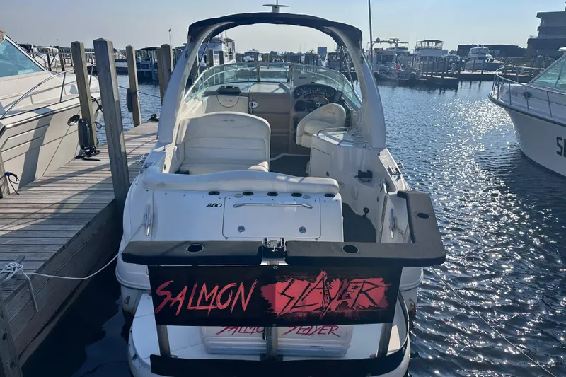 Slide: The Image of 2003 Sea Ray Sundancer 280 docked at marina, featuring custom "Salmon Slayer" sign. - 16