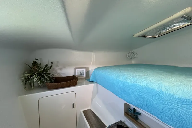 Slide: The Image of Cozy cabin interior of 2002 Voyage 440 yacht with blue bedding and decorative plants. - 29