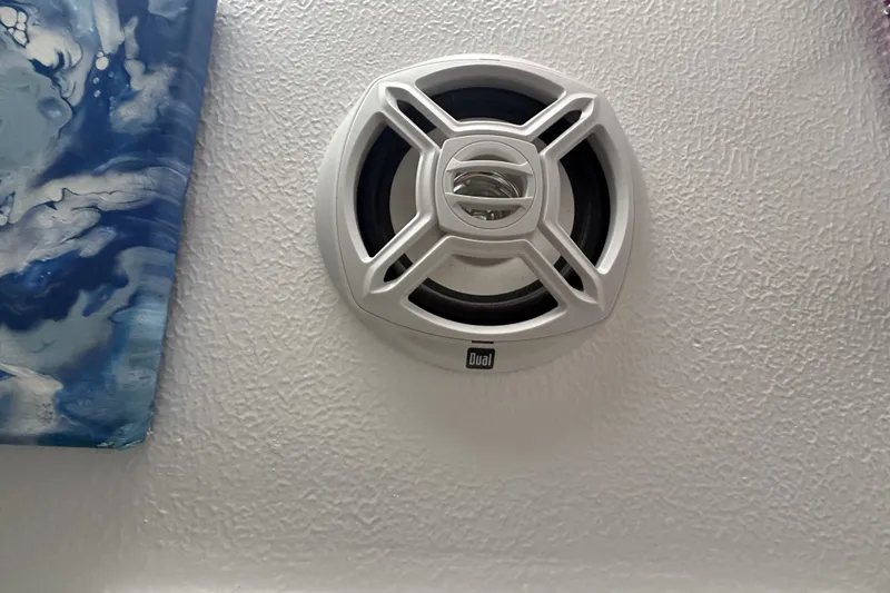 Slide: The Image of Ceiling-mounted Dual speaker on textured surface, adjacent to blue abstract artwork. - 42