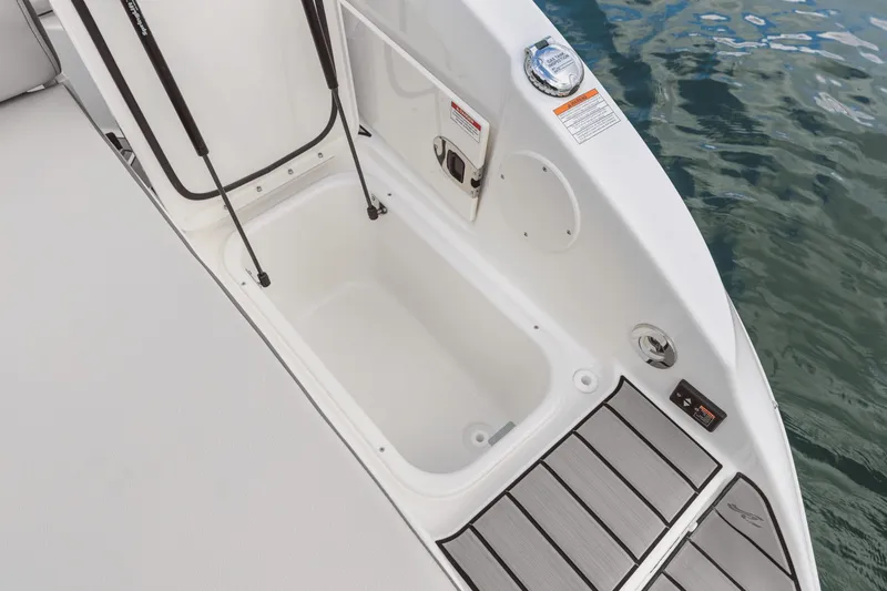 Slide: The Image of Sea Ray SDX 250 2025 - 74