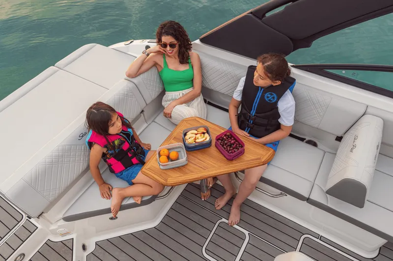 Slide: The Image of Sea Ray SDX 250 2025 - 59