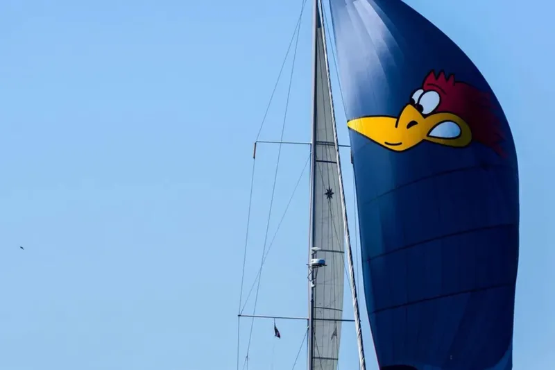 Slide: The Image of Sailboat Jeanneau 54 (2018) with cartoon rooster on blue sail. - 120