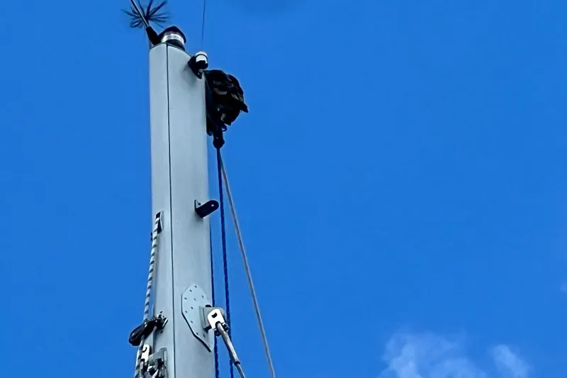 Slide: The Image of Mast of 2008 Admiral 40 cruiser against clear blue sky. - 12
