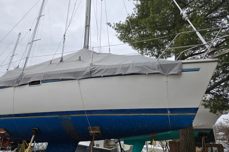 Slide: The Image of 1998 Catalina 320 sailboat with a protective cover, docked and elevated for maintenance. - 2