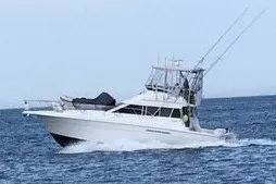 Slide: The Image of 1996 Silverton 41 Convertible yacht cruising on open water. - 2