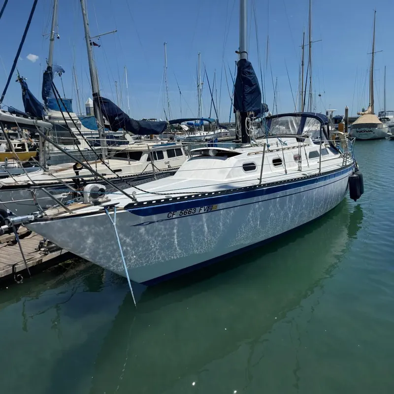 The Image of 1976 Islander 36 sailboat docked in a marina, surrounded by other boats. - 0