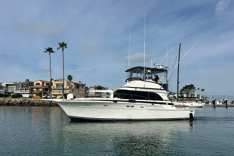 The Image of 1978 Bertram 46 Convertible yacht cruising near coastal homes and palm trees. - 0
