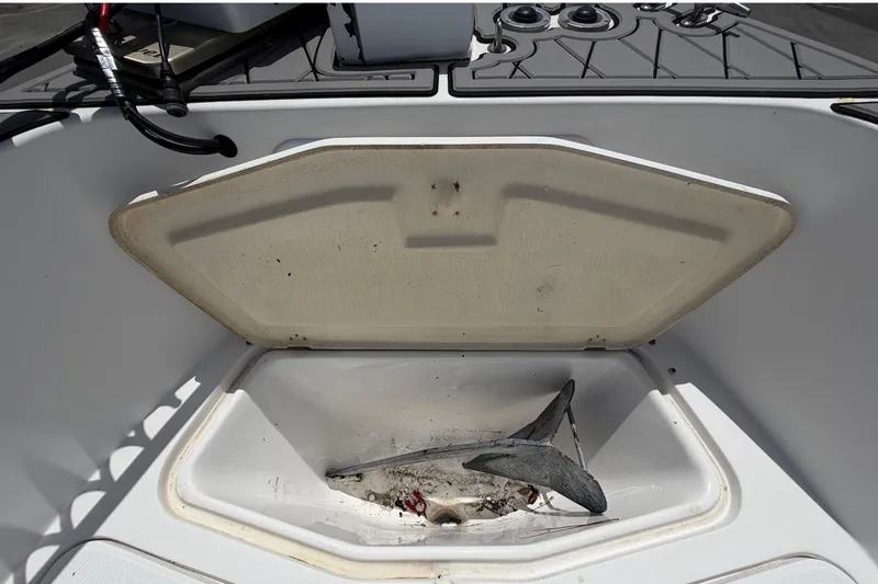 Slide: The Image of Open storage compartment on 2006 Pro Sports 2550 BW boat with fish inside. - 42