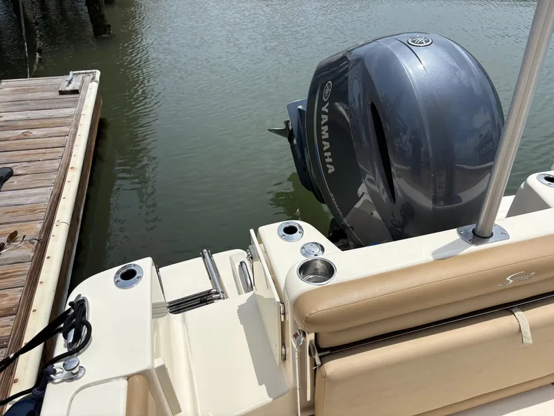 Slide: The Image of Scout 215 XSF 2019 - 56