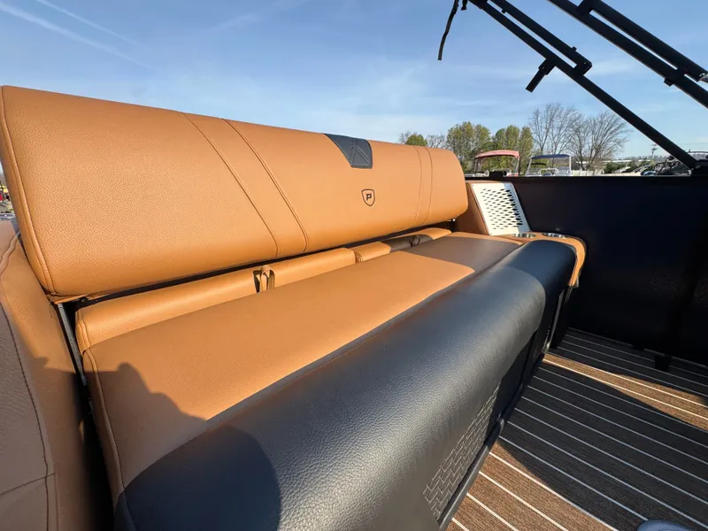 Slide: The Image of Premier 250 Intrigue RL 2026 - 38