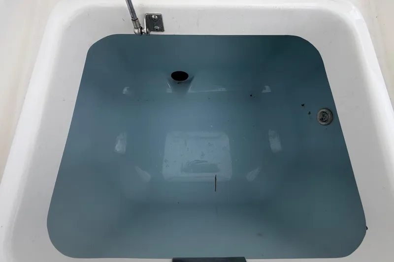 Slide: The Image of Boston Whaler 250 Dauntless 2022 - 56