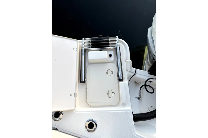Slide: The Image of 2022 Boston Whaler 250 Dauntless swim platform with ladder and storage compartment. - 33