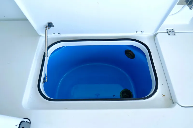 Slide: The Image of Open livewell compartment on a 2024 Freeman 38 boat, featuring a blue interior. - 23