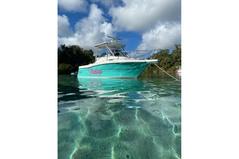 The Image of 1994 Robalo 2440 Walkaround boat anchored in clear water under a cloudy sky. - 3