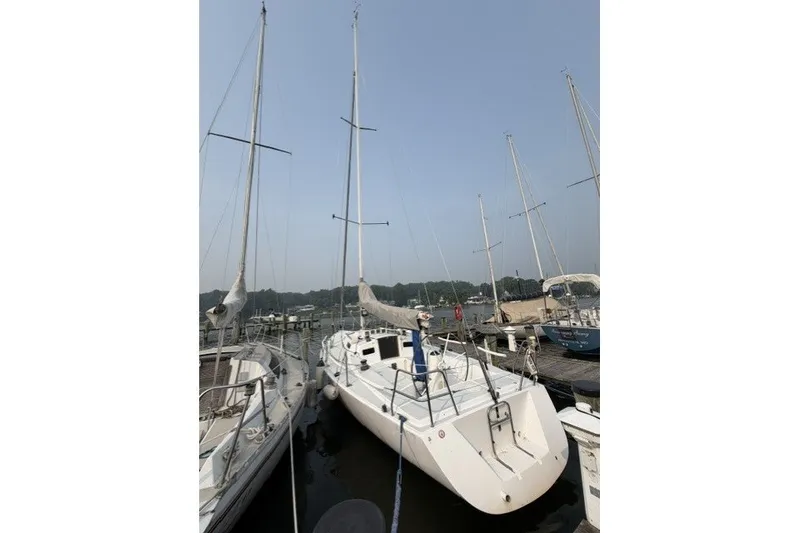 The Image of 2001 J Boats J/105 sailboat docked at a marina, surrounded by other sailboats. - 0