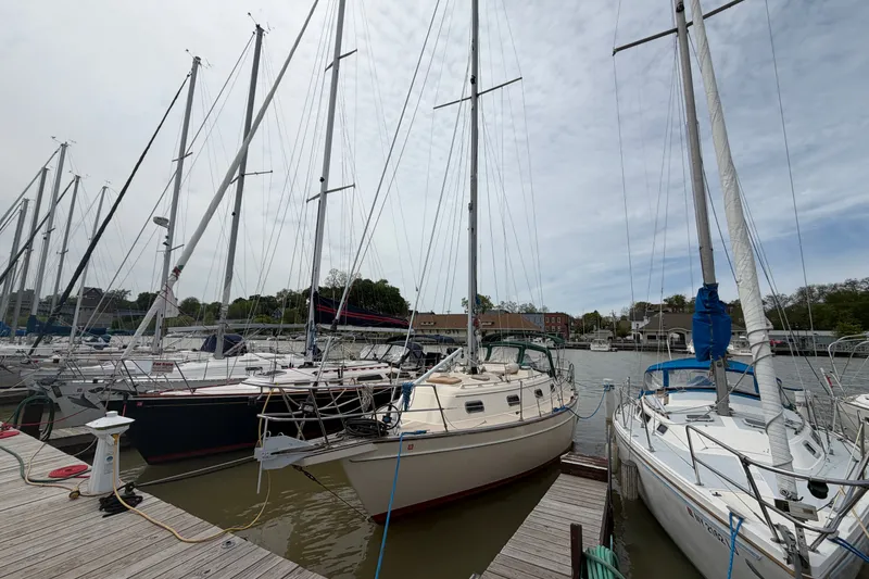 Slide: The Image of Docked sailboats including a 2000 Island Packet 320 at a marina under a cloudy sky. - 7