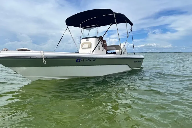 Slide: The Image of 2019 Sea Born SV19 Bay boat on calm water under a blue sky. - 2