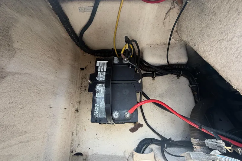 Slide: The Image of Sea Born SV19 Bay 2019 - 52